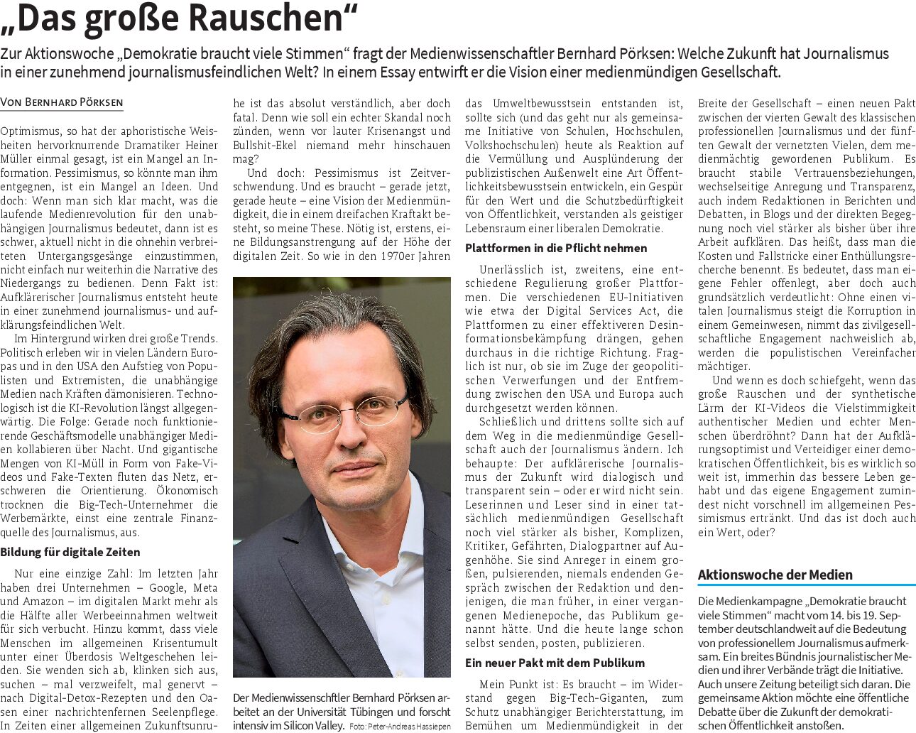 Das große Rauschen von Bernhard Pörksen
